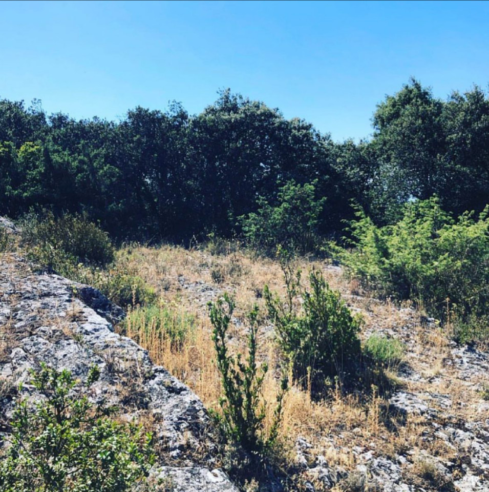 Randonnées depuis Lagnes
