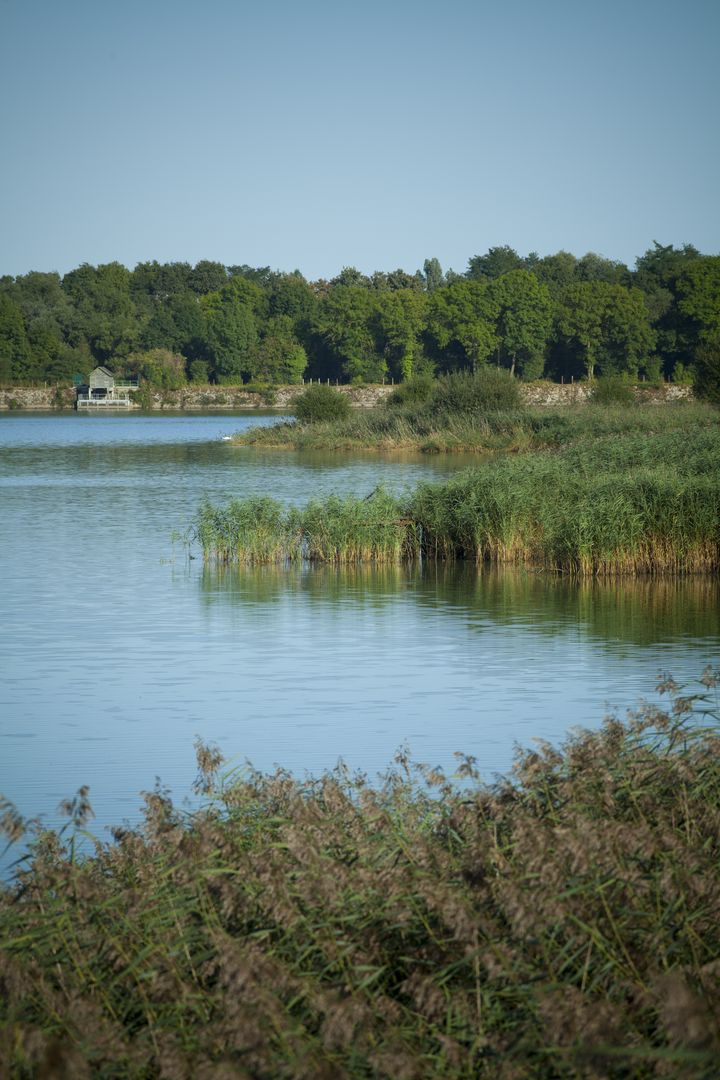 🥾 Nature, randonnée