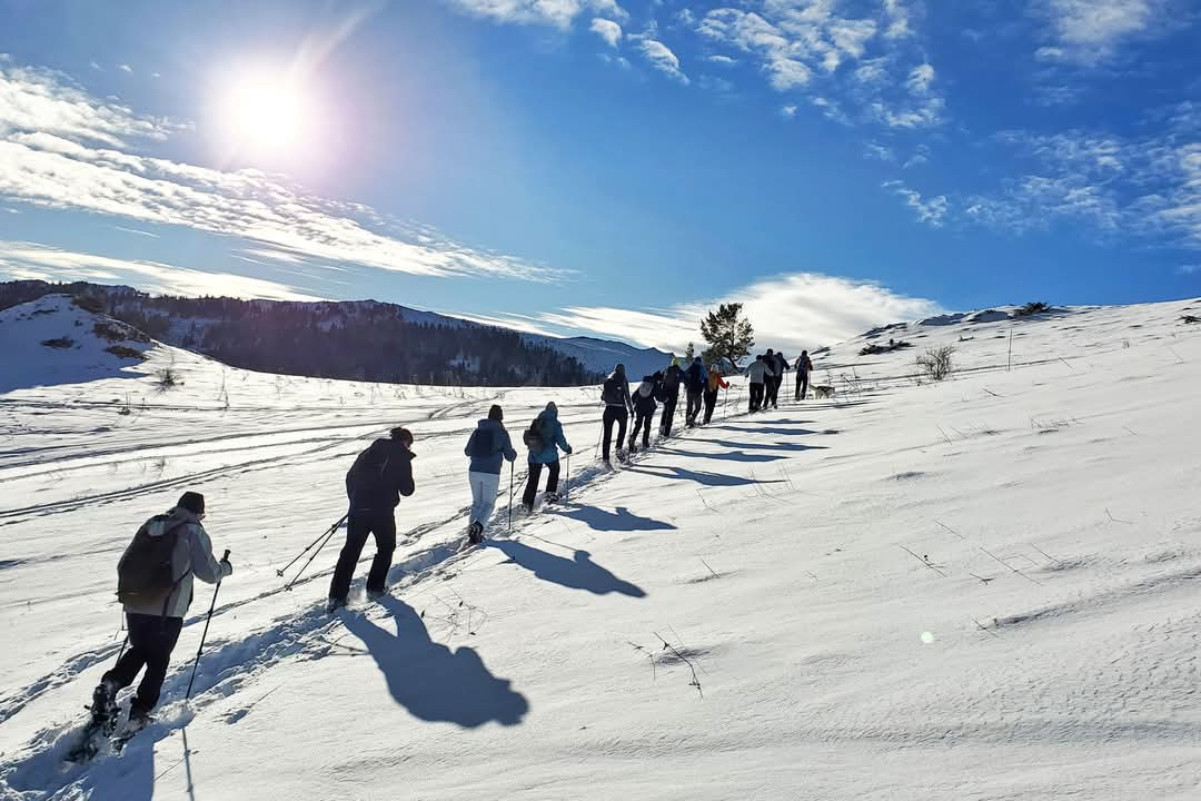 Randonnées à pied ou en raquettes à neige