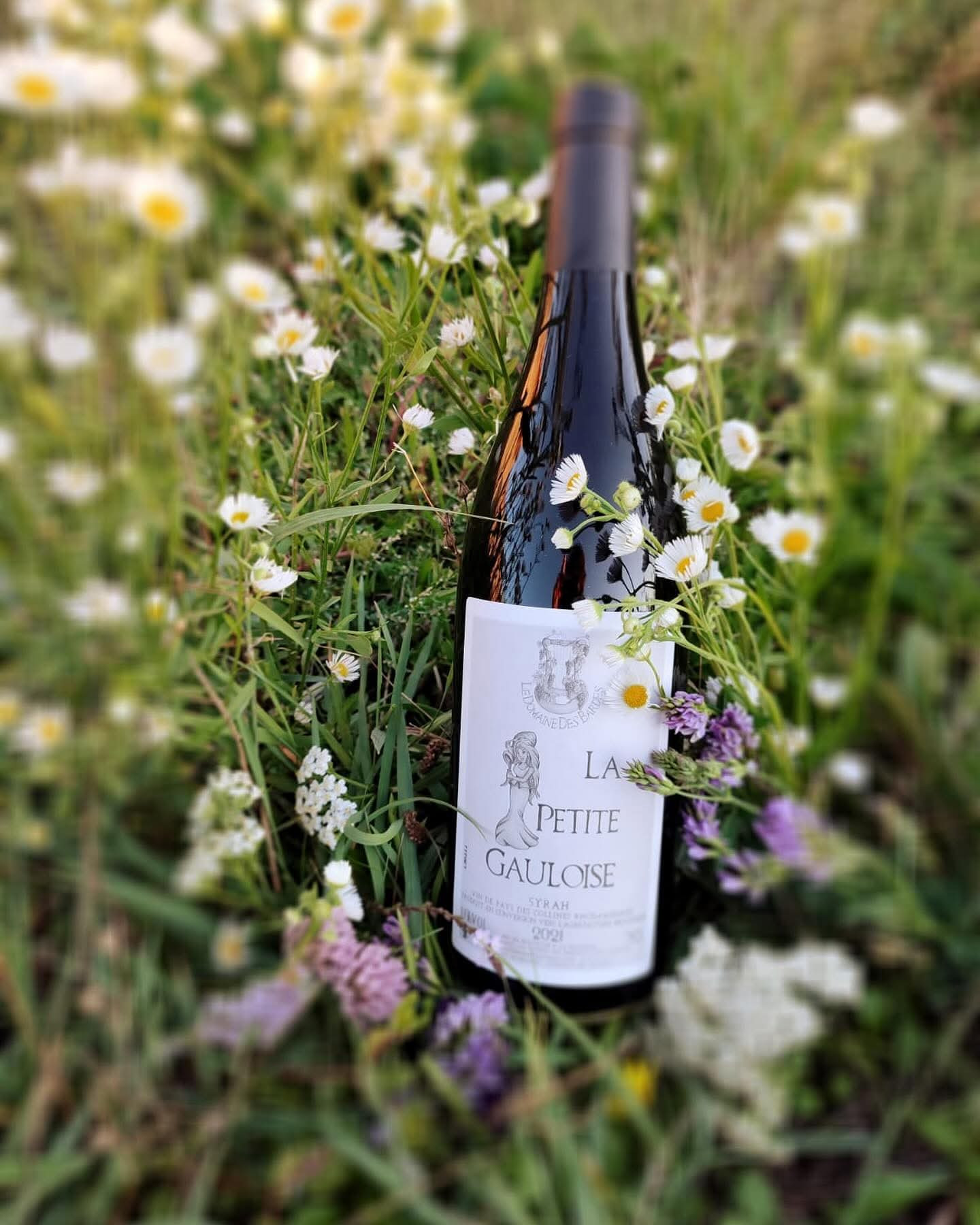 A quelques km des vignes de Saint-Joseph