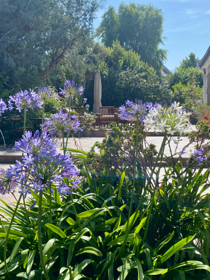 Beau jardin arboré de 2000m2, au calme