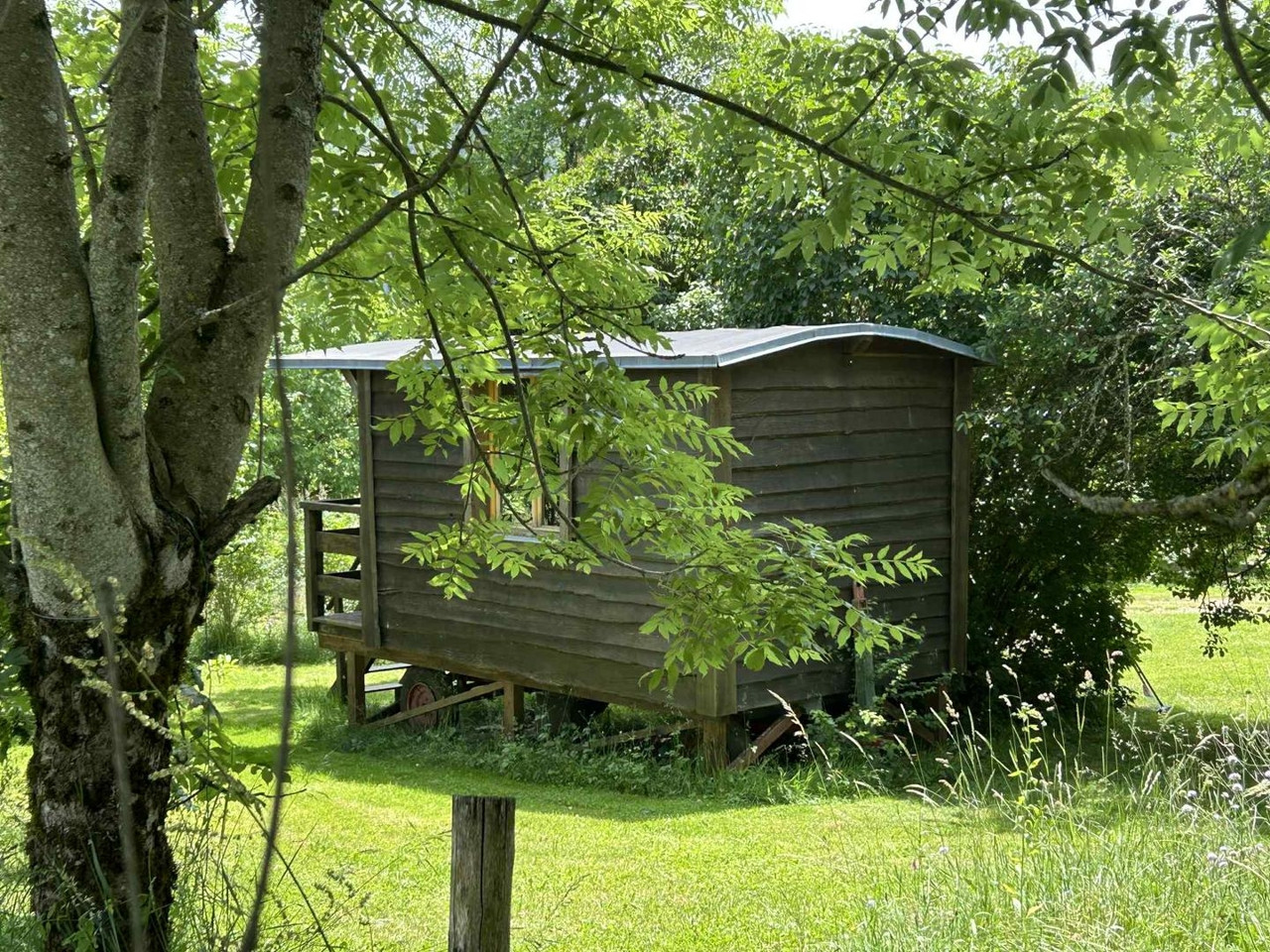 Domaine isolé avec forêt sur place