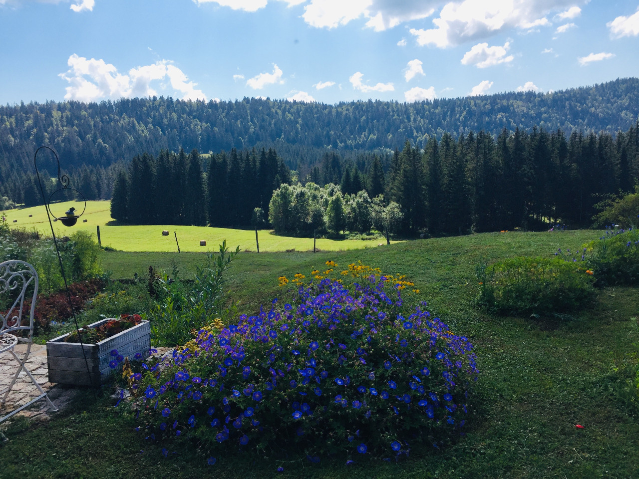 Vue imprenable sur une combe du Jura