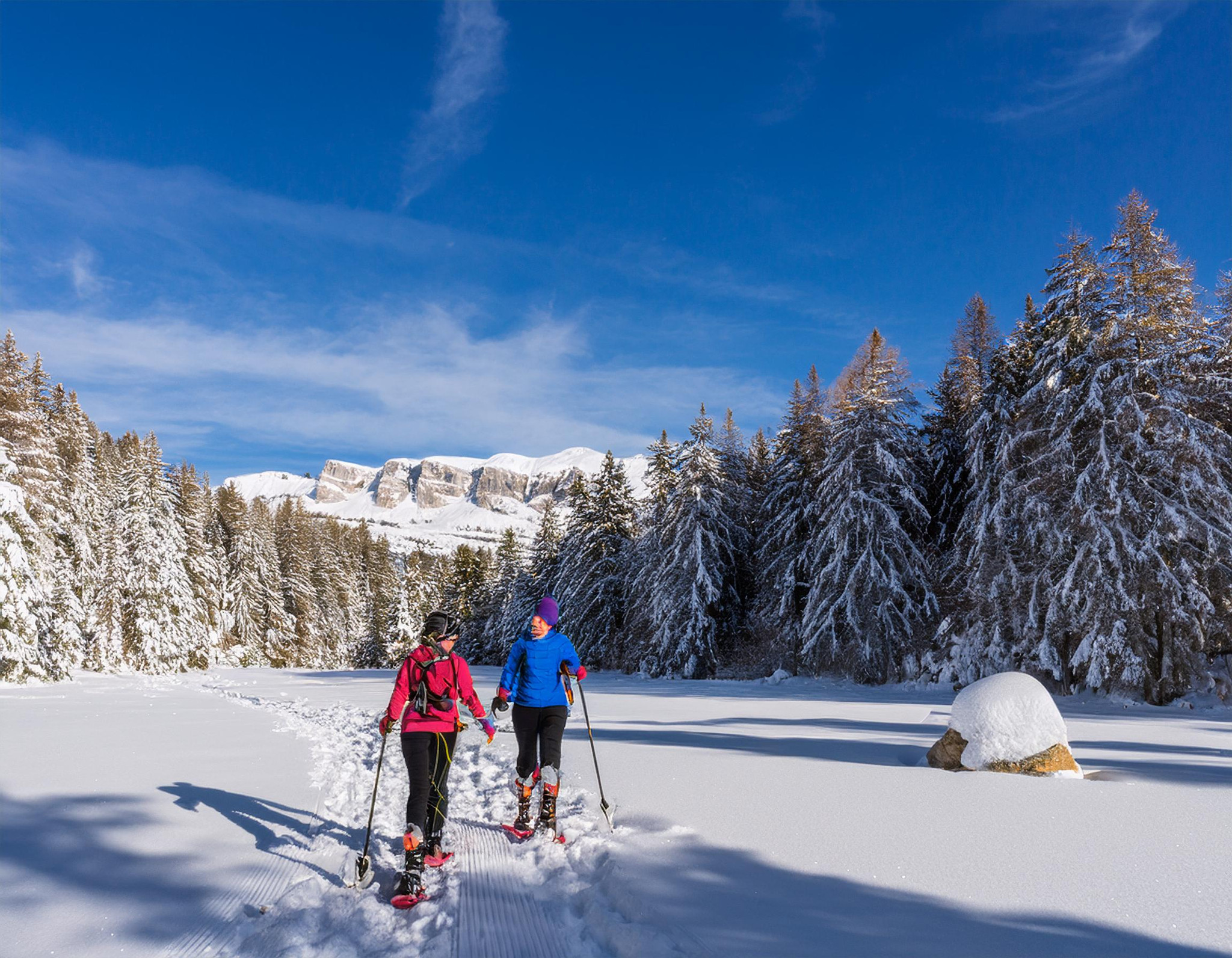 🐾 Sur les traces des animaux en hiver