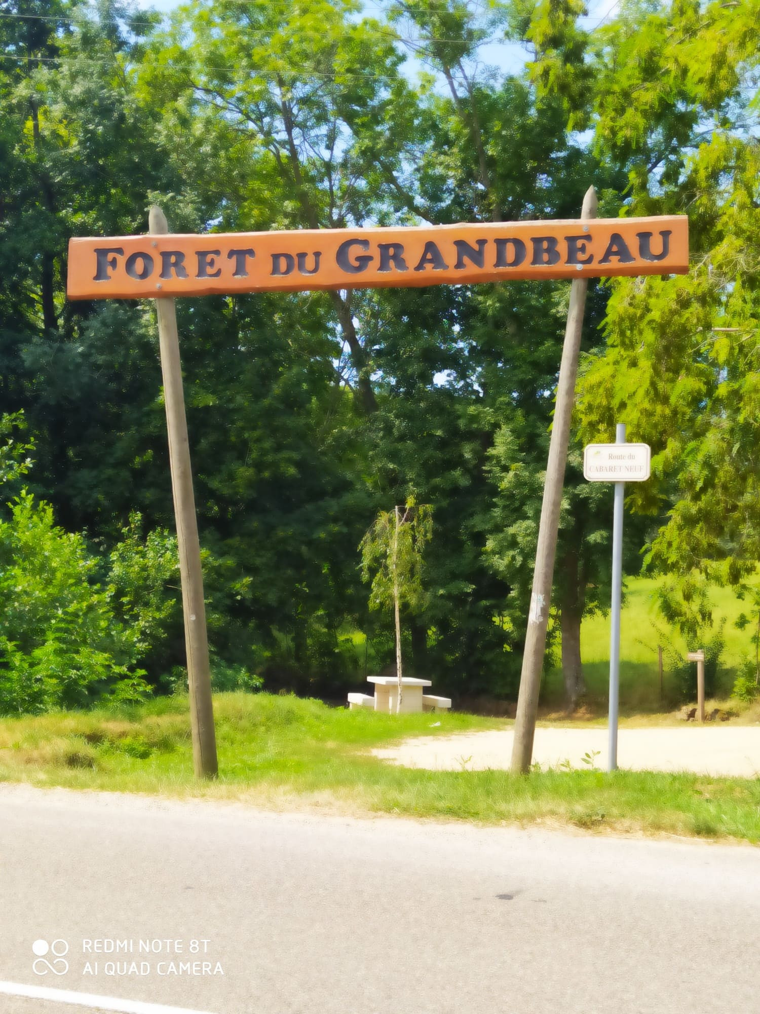 Escapade à la forêt du GrandBeau (5 min en voiture)