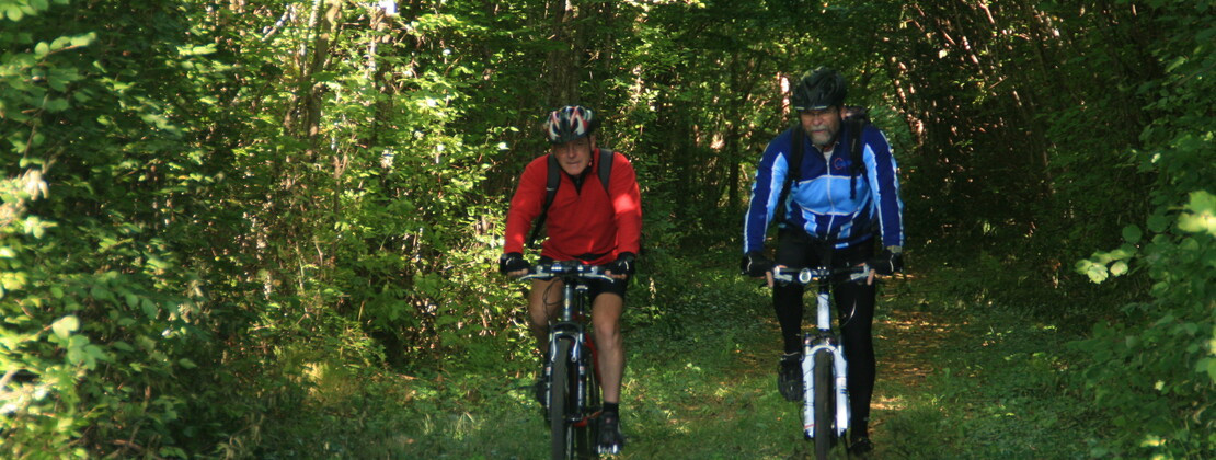 Location de VTT