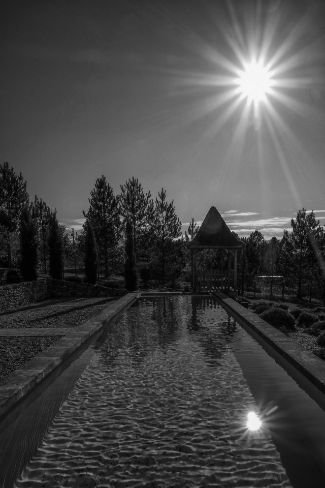 Piscine de nage à débordement au cœur de la forêt