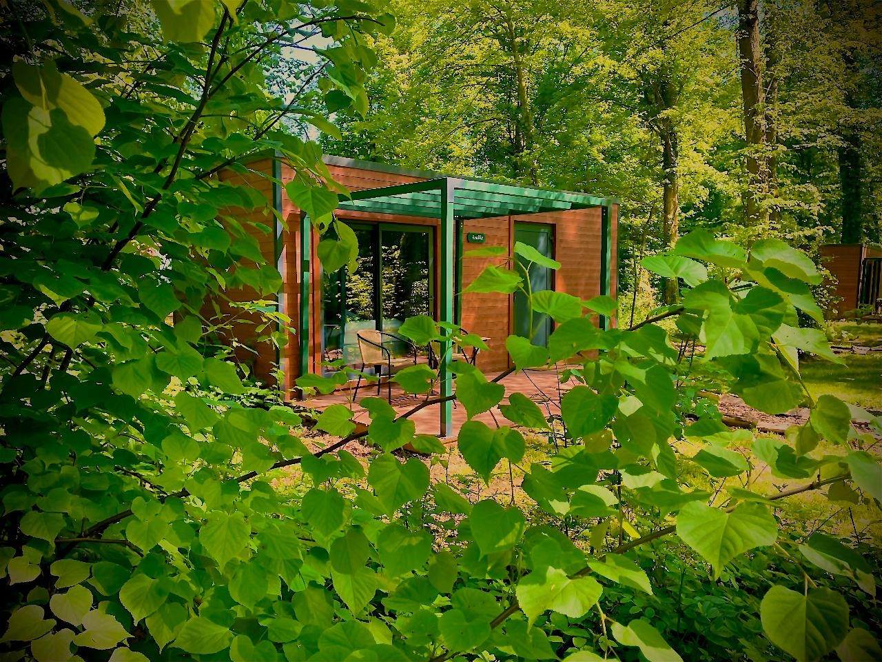 Havre de paix au cœur de la forêt