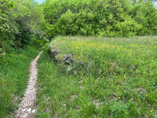 Promenade du Roc Castel à pied