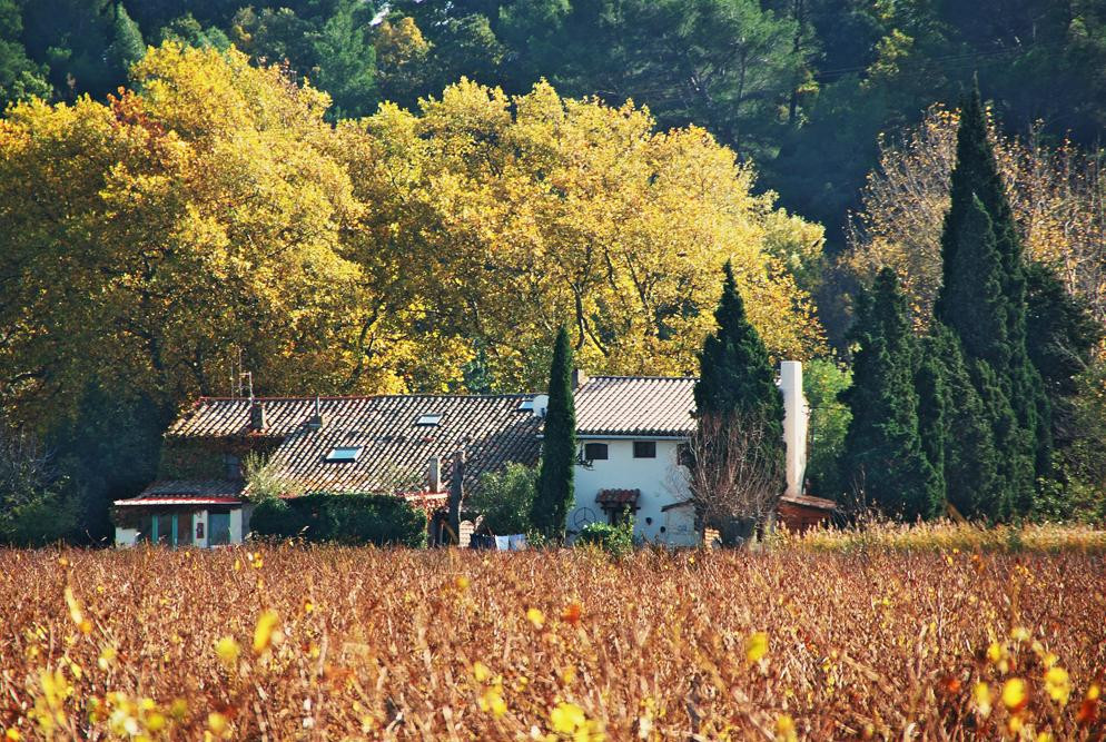 Séjour au cœur des vignes et rizières