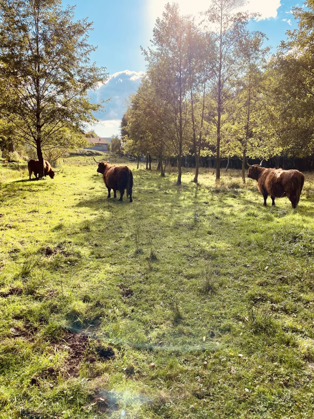 Un coin de nature paisible et isolé