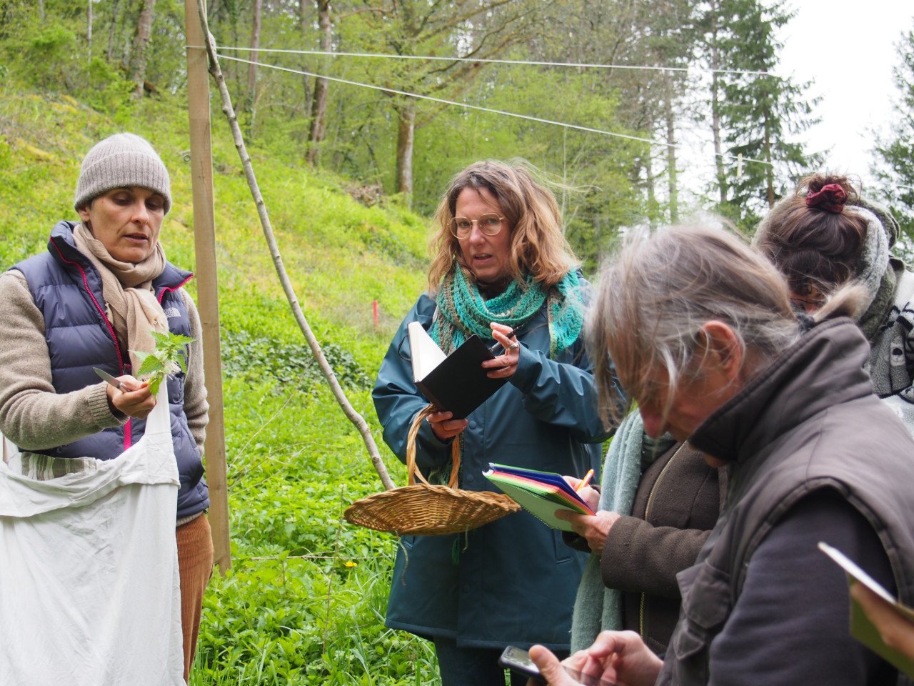 Activités liées à la transition écologique et sociétale