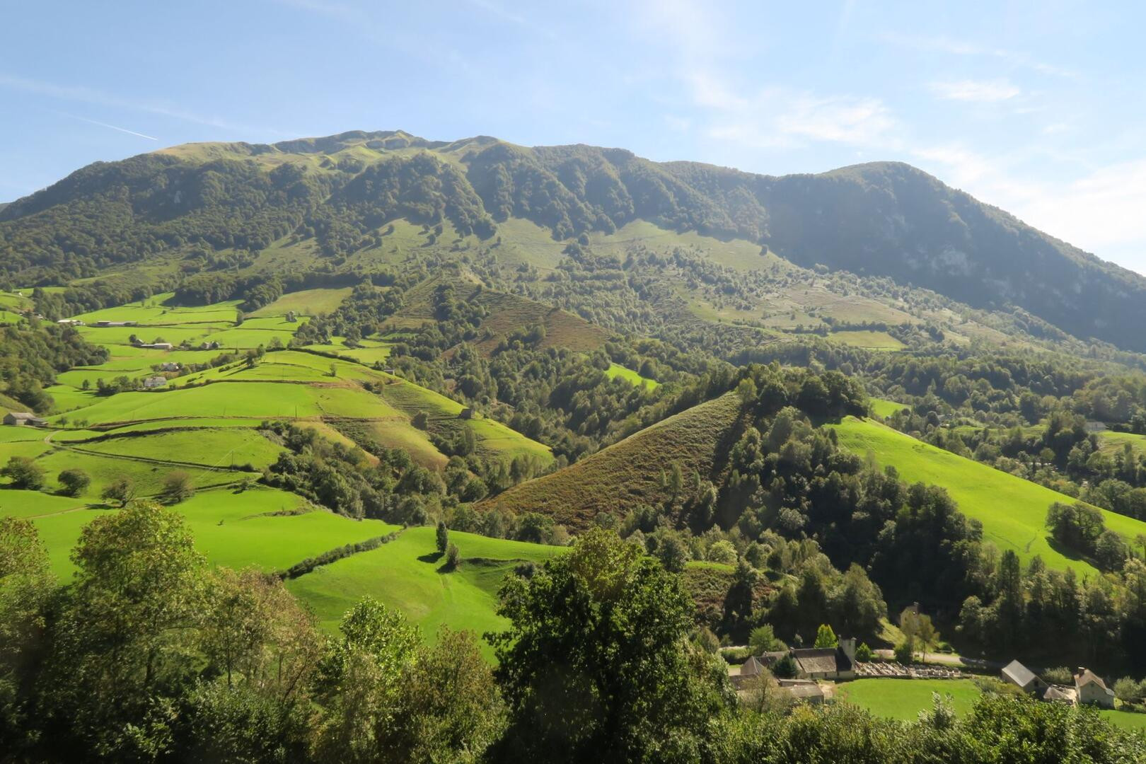 La Fougeraie de Lahünd