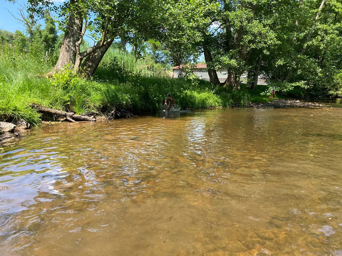 Préparez-vous à dormir dans un p’tit coin de nature, dans une tente Sahara aménagée au bord de la rivière !