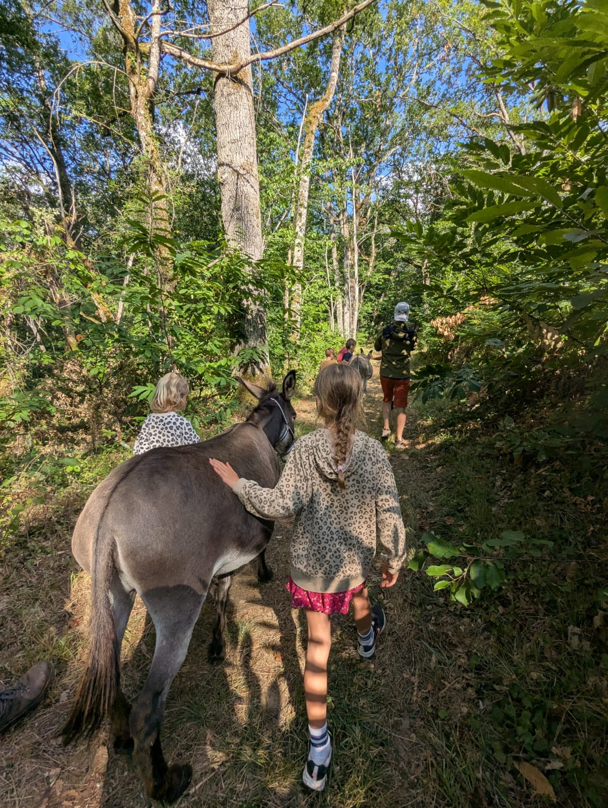 À la rencontre des ânes de la Clairière