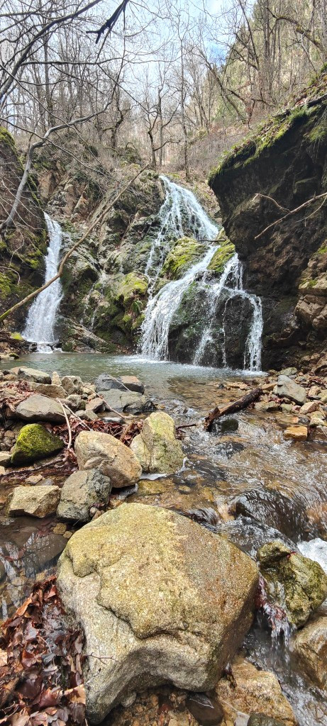 Bains froids dans la rivière limipide