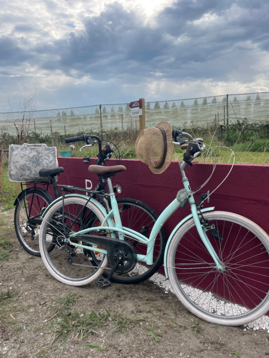 Vélos