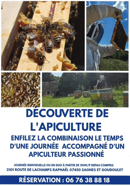 Stage d'initiation à l'apiculture
