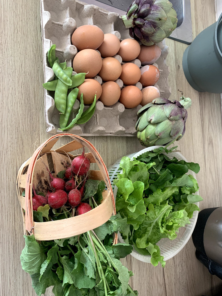 Cueillette de saison