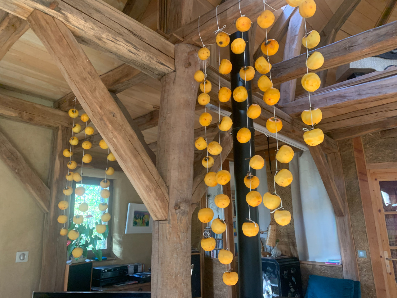 calme, fraicheur de la maison encadrée d'arbres