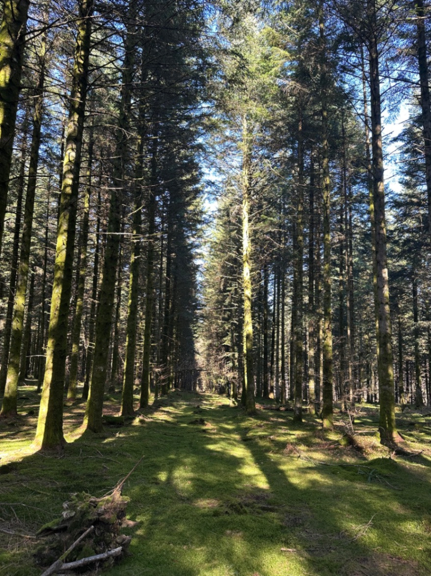 La randonnée à vos pieds