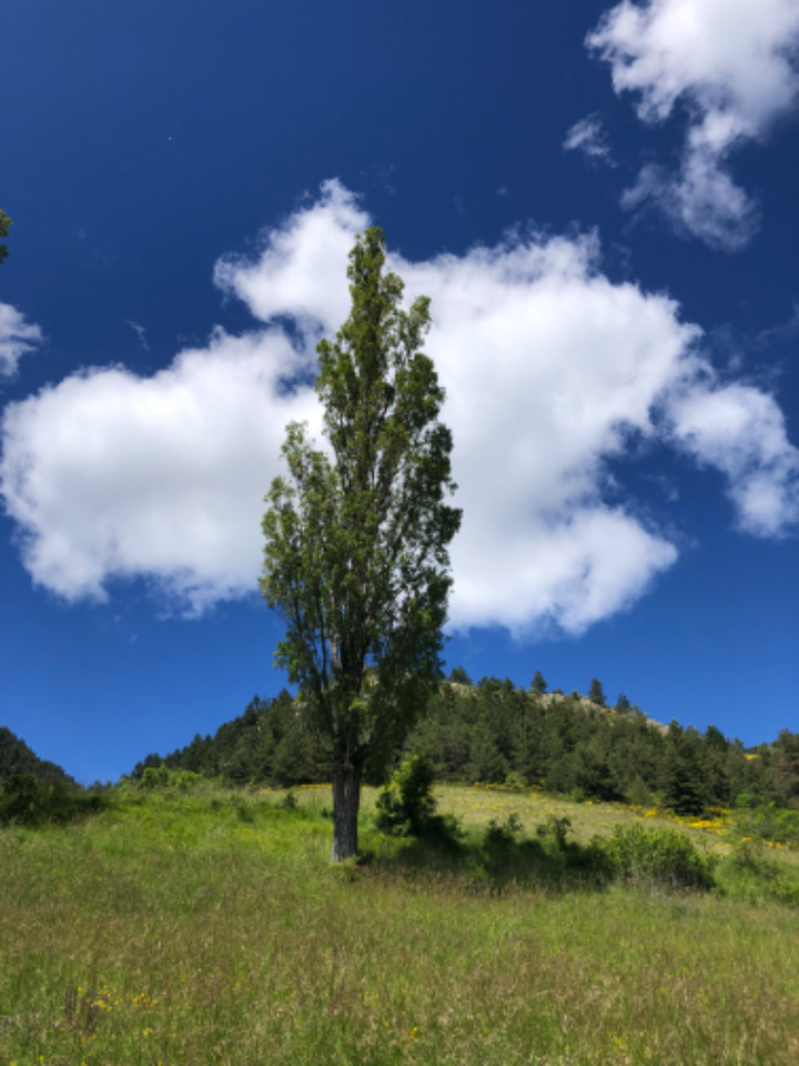 Vallée du Haut Diois