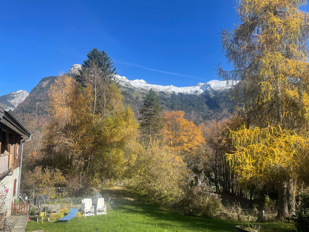 En bordure de forêt