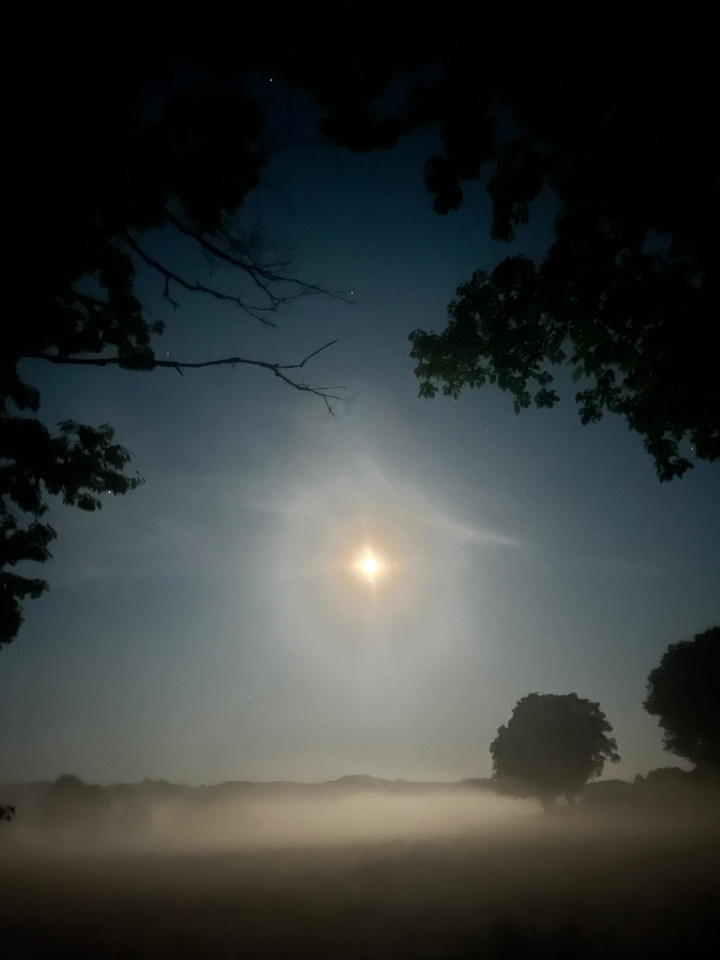 Observation des étoiles