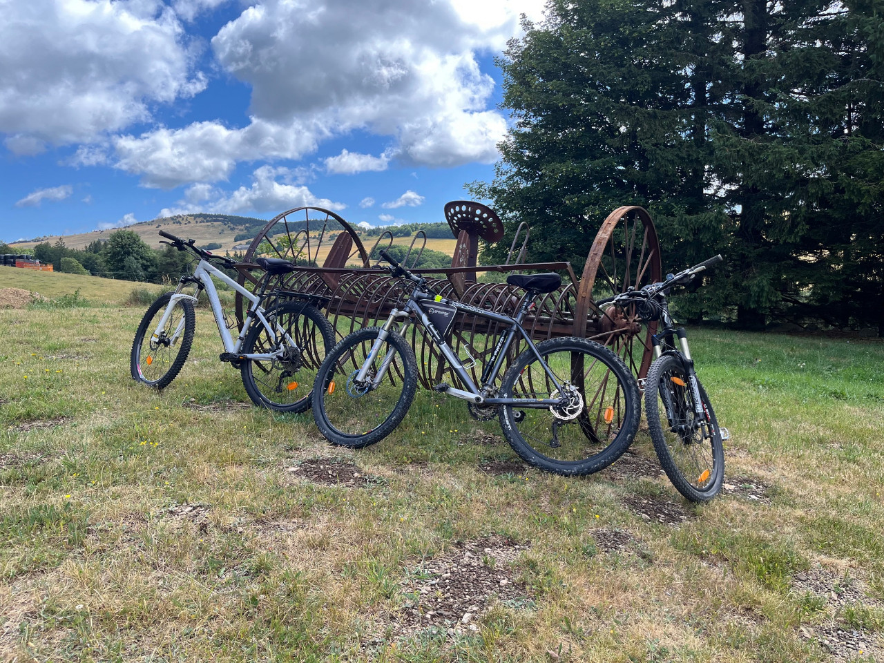 Location de vélos sur place
