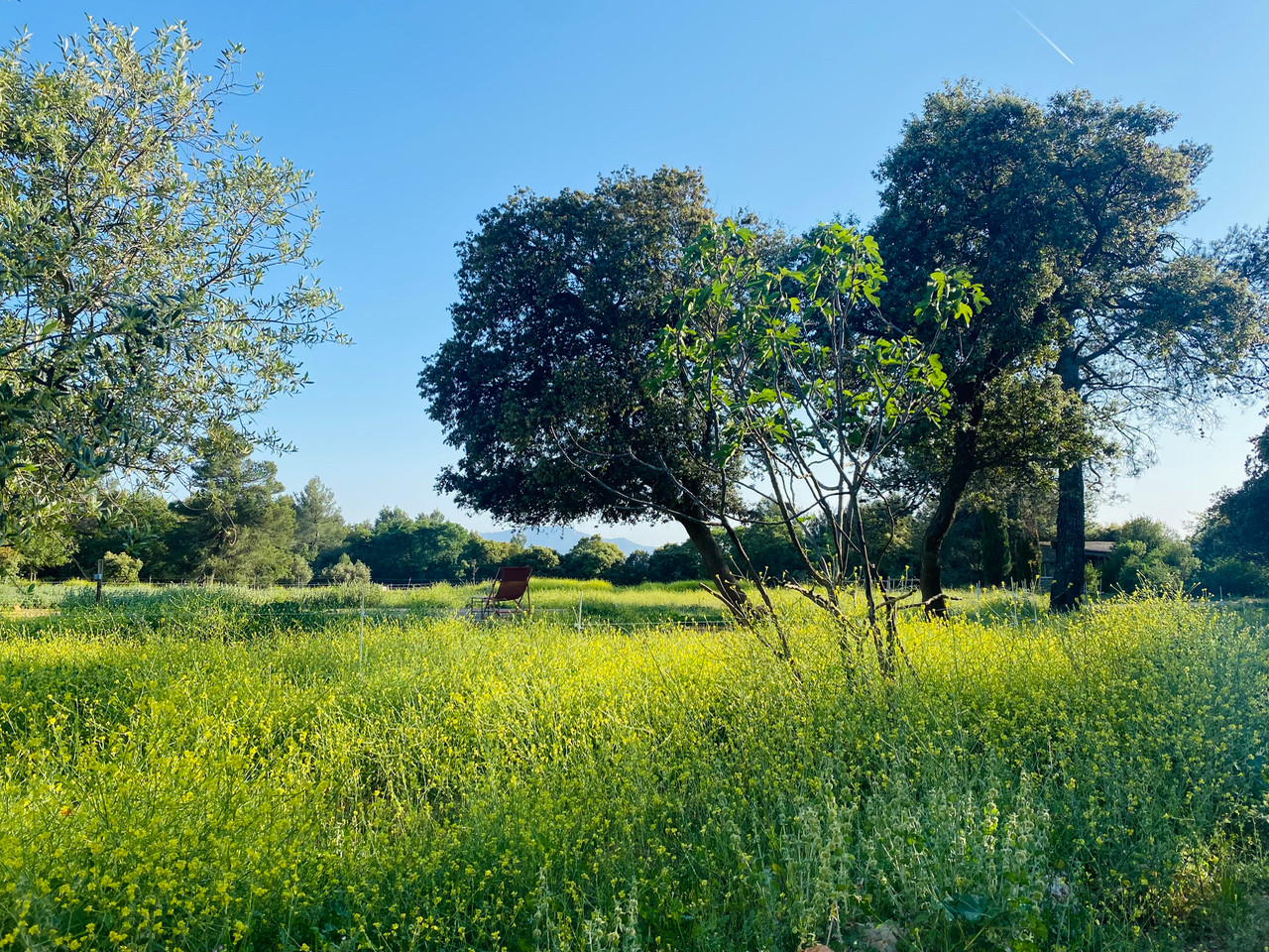 Nature authentique sans aucun vis à vis