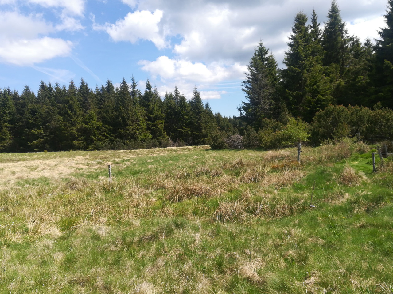 Séjour au cœur du Livradois Forez