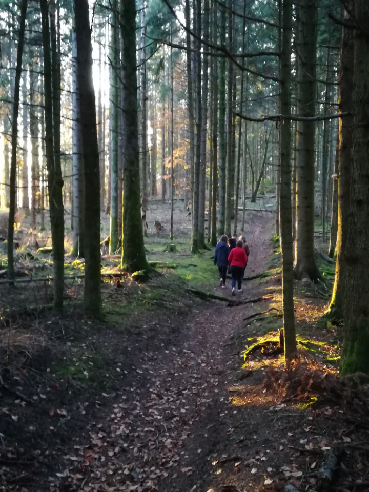 Bains de forêt