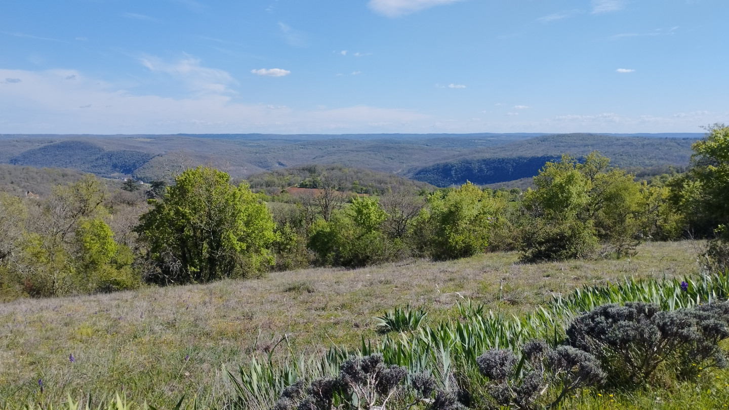 Randonnées au coeur du Parc naturel