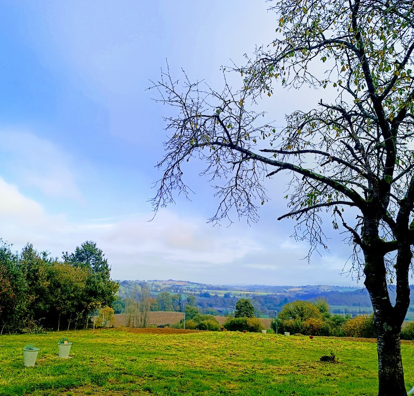 Vue magnifique sur les collines