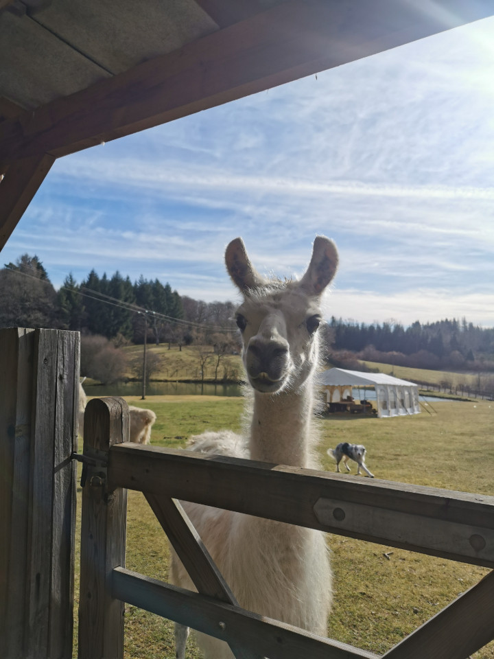 Ferme de Lamas et étang de pêche