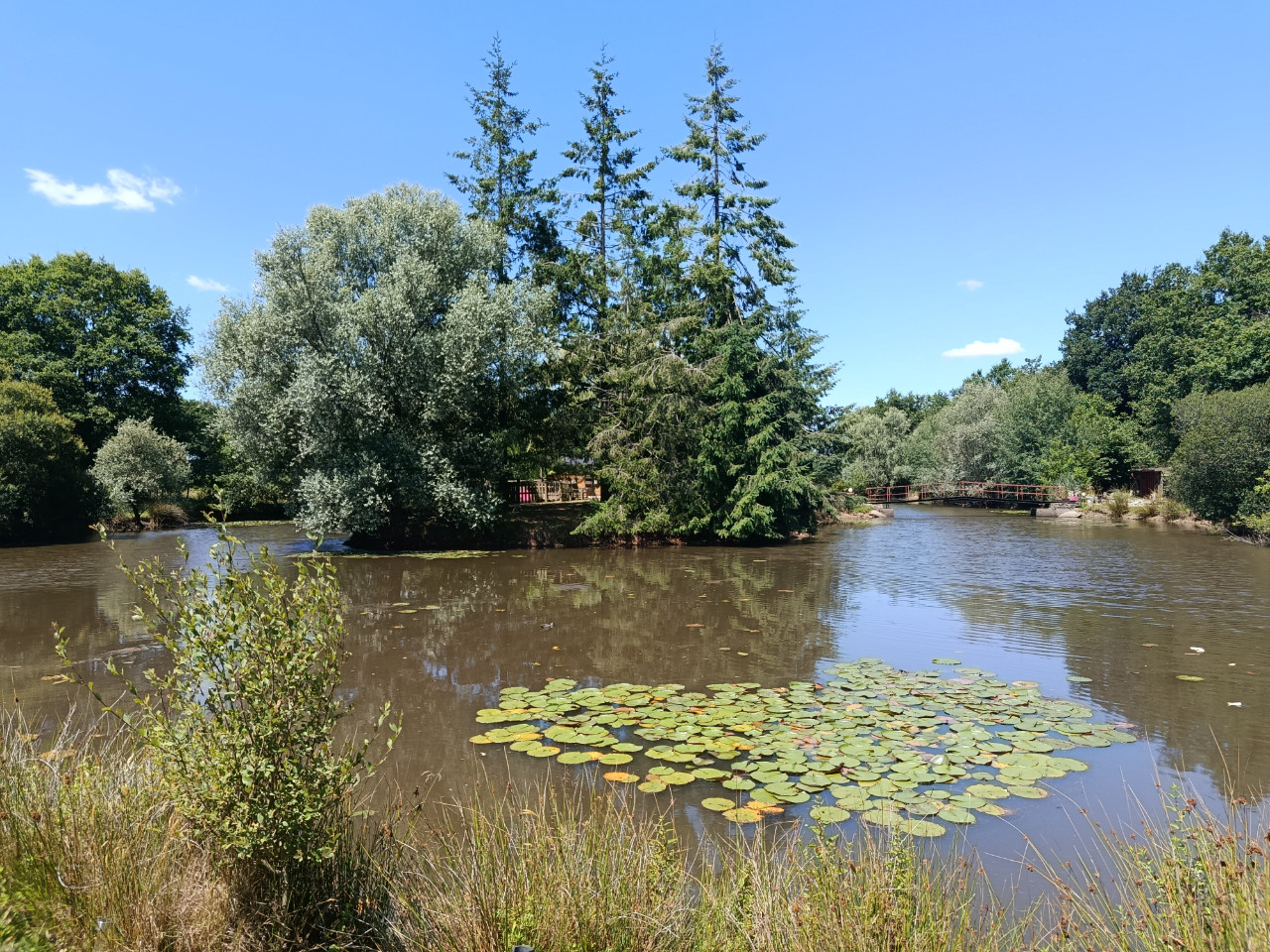 L'île mystérieuse