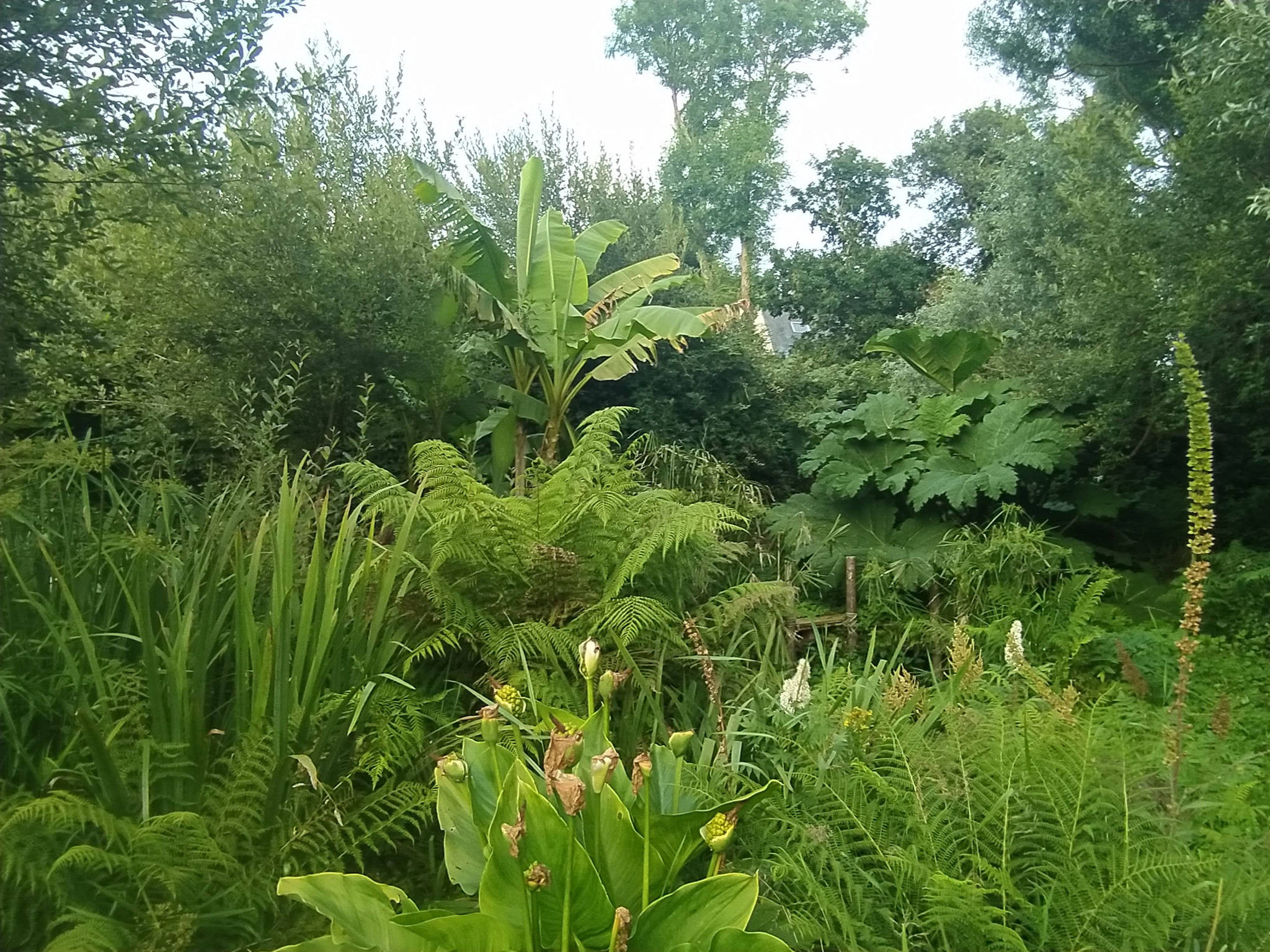 Gîte au coeur d'un grand jardin.