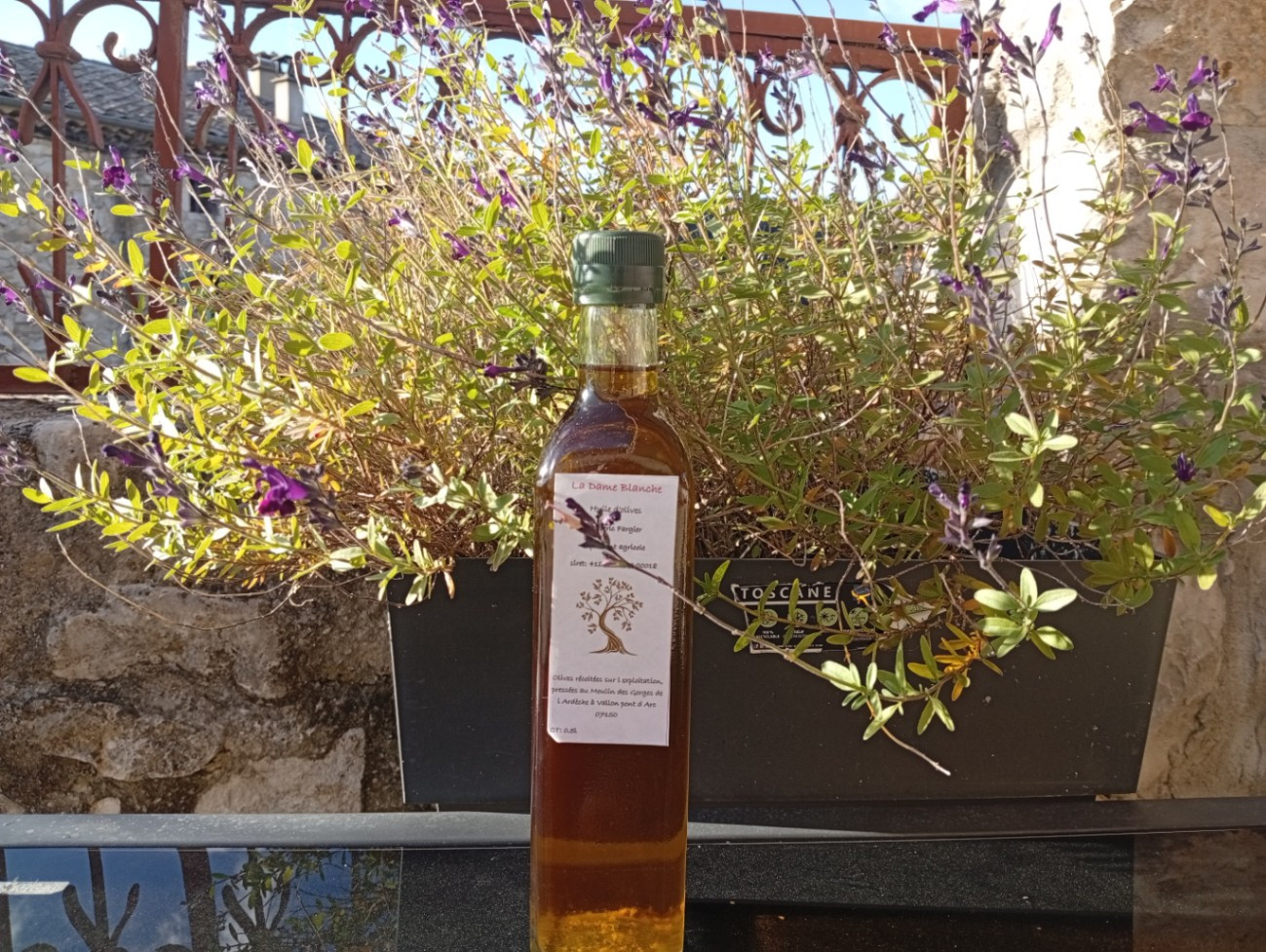 Nos vins et huile d'olives