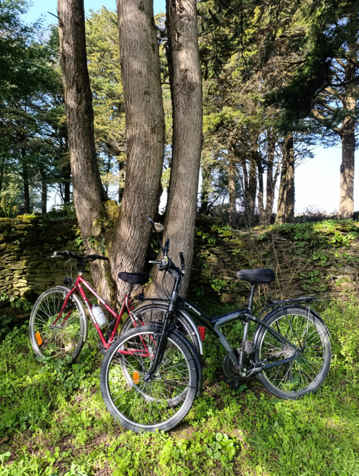 2 Vélos à disposition sur demande