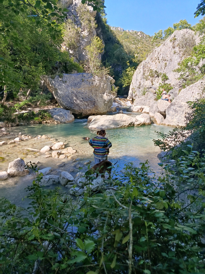 Gorges de Trévans, Thym, lavandes et oliviers...