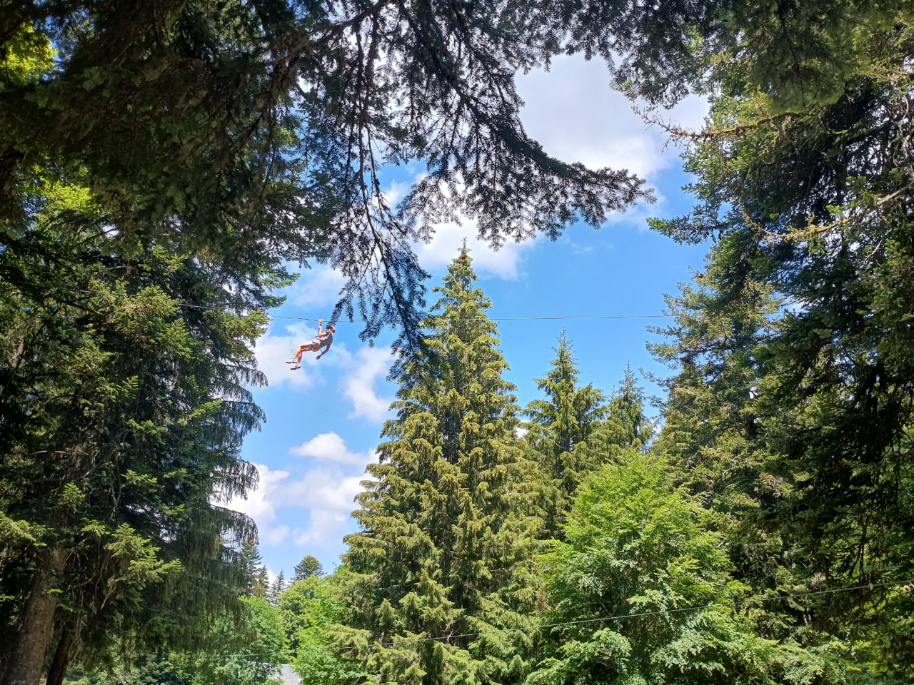 Nature et proximité des services