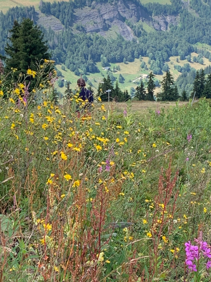 Découverte de la faune et de la flore