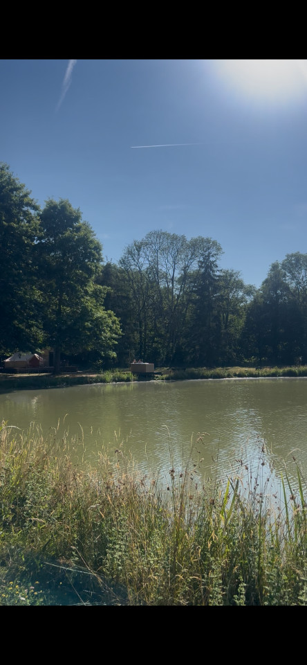 Bord du lac de la Thironne