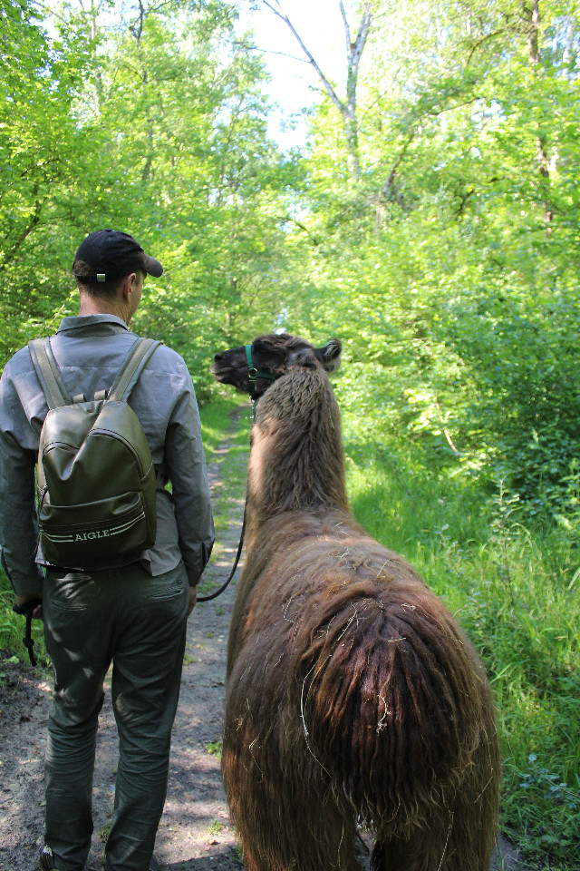 Randonnée avec les Lamas à la découverte de la Vallée de la Manse