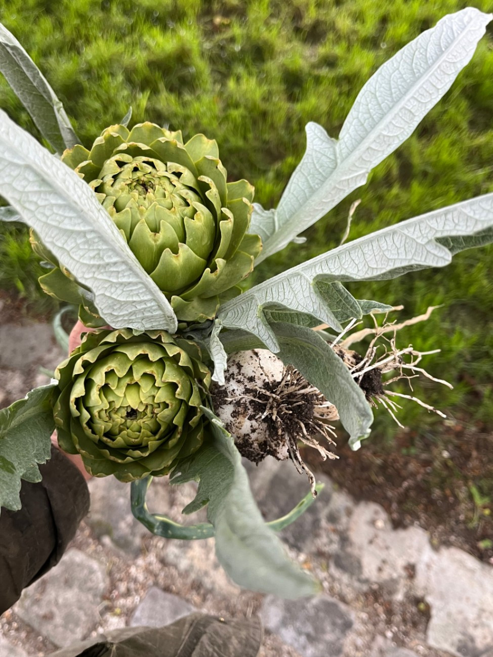 Découvrez les nombreux producteurs locaux