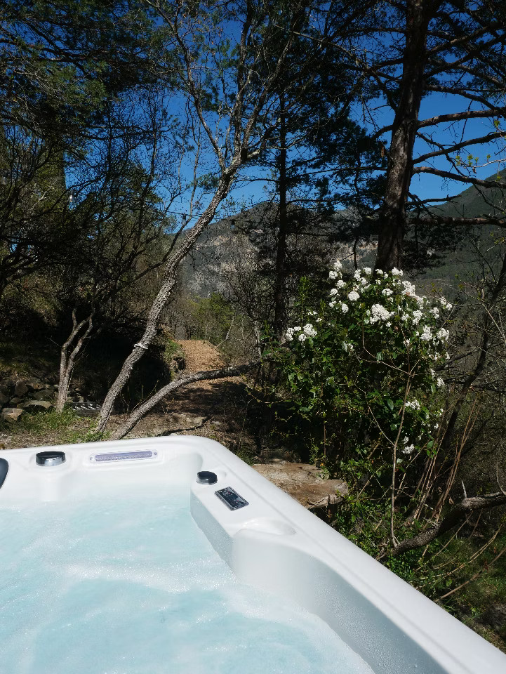 Jacuzzi thérapeutique dans un écrin de verdure