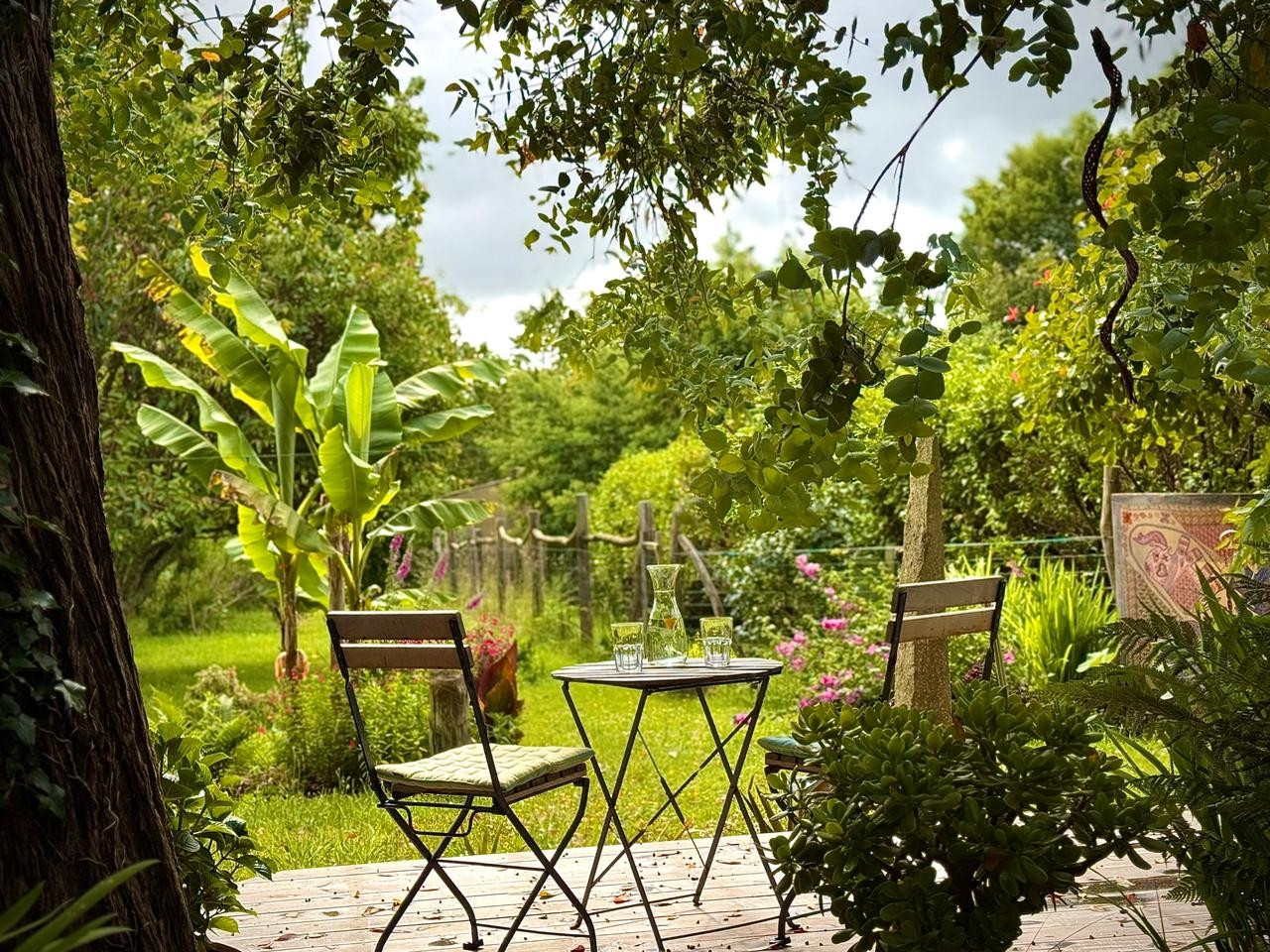Jardin mandala et forêt comestible