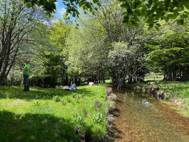 Au coeur de la fôret de Grange