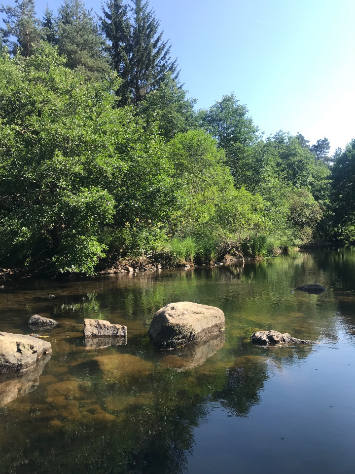 Fraîcheur et nature