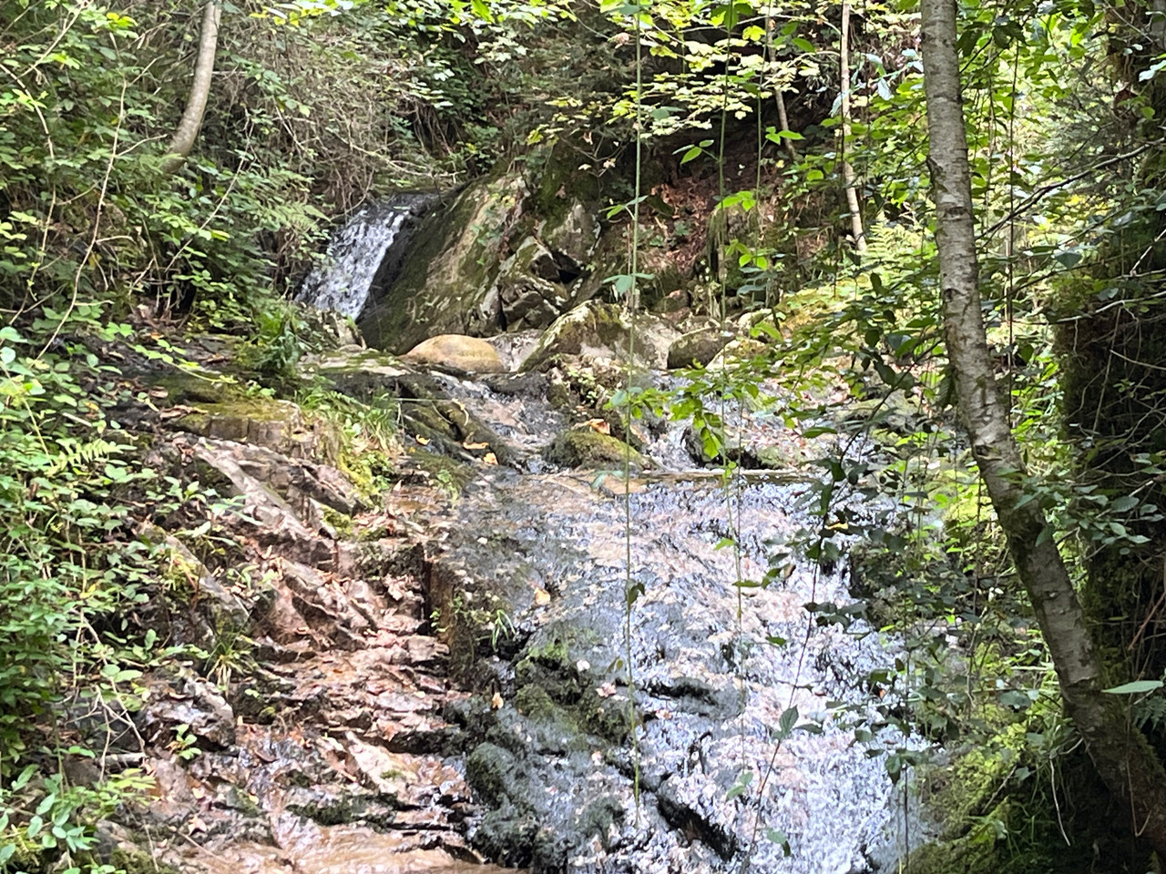 Accès privé à la rivière (Lémont): cascades et vasques pour des baignades rafraîchissantes ou pêche à la truite
